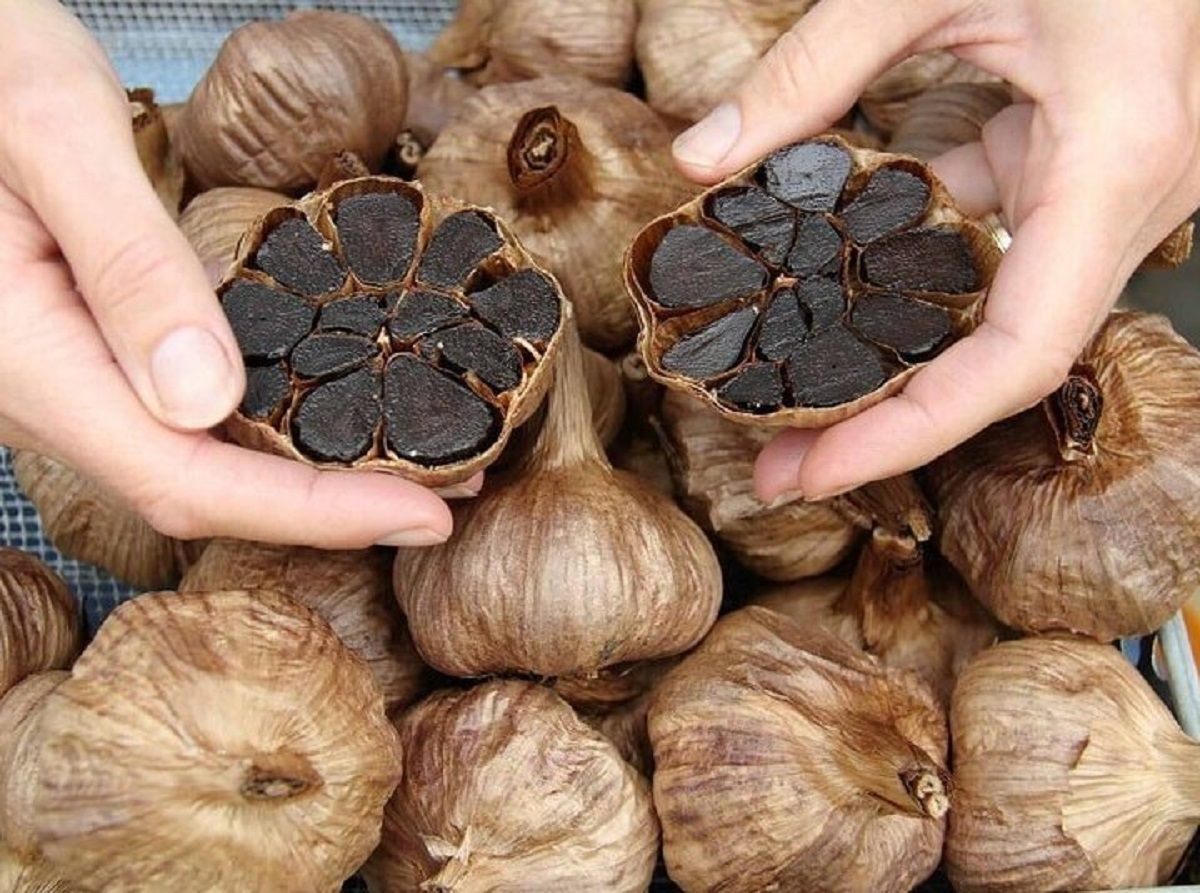 این ۴ خاصیت فوق‌العاده سیر سیاه برای معده را حتما بدانید