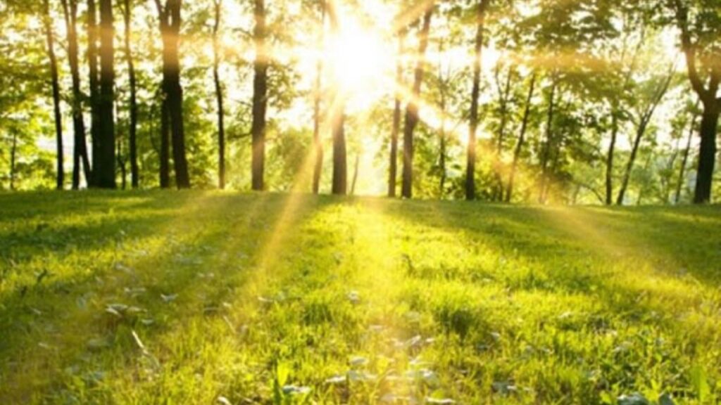 هواشناسی مازندران فردا یکشنبه ۲۶ مرداد ماه ۱۴۰۴ + هواشناسی ساعتی مازندران