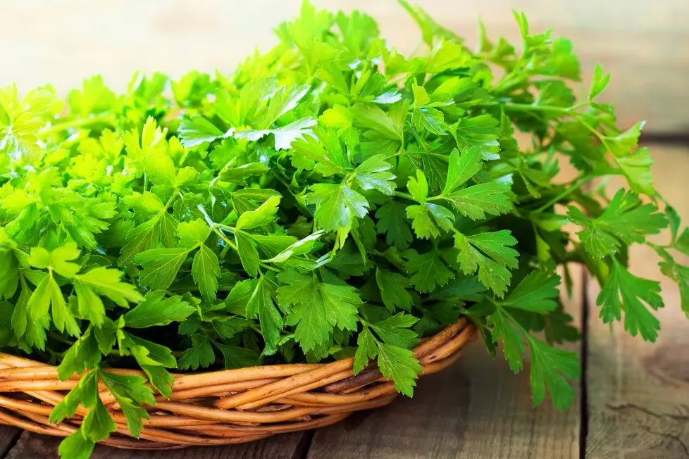 این سبزی دم دستی و ارزان دشمن دیابت است