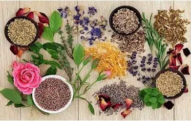 با این گیاهان بوی بد عرق را از بین ببرید