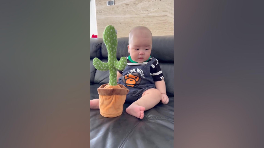 عروسک سخنگو تقلید صدا کاکتوس سخنگو