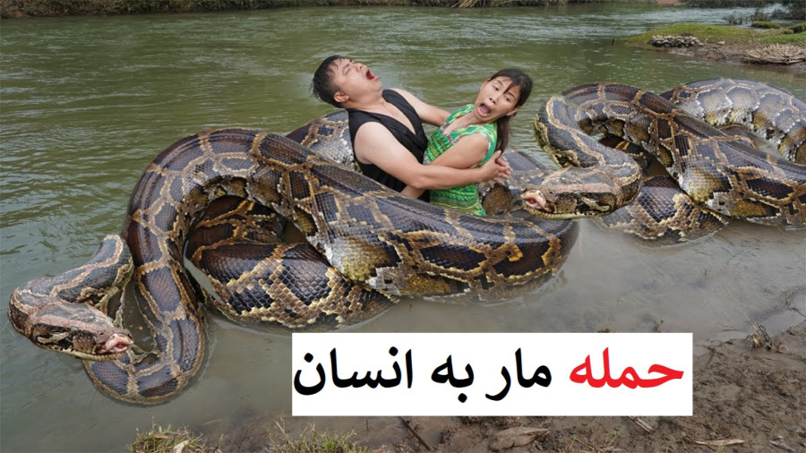 مستند رازبقا جدید | راز بقا حمله مار غول پیکر به انسان ( کالکشن )