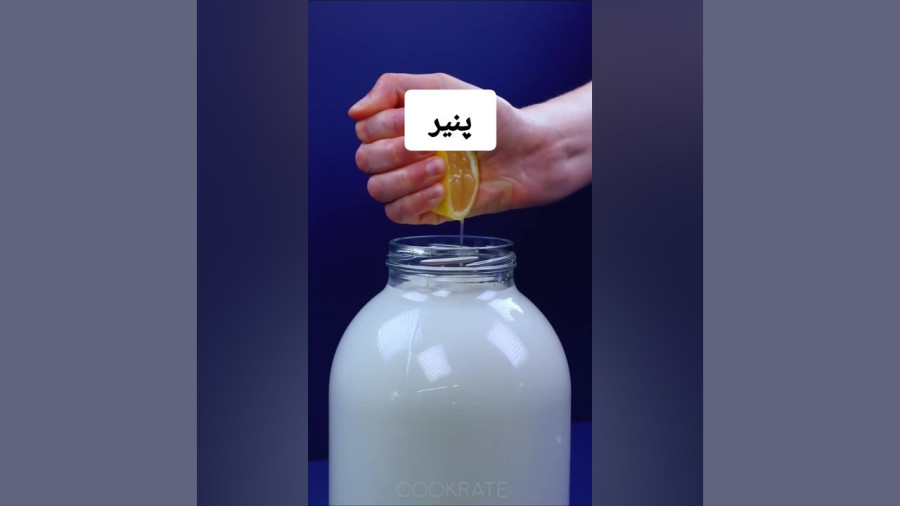 نحوه درست کردن پنیر محلی به روشی متفاوت