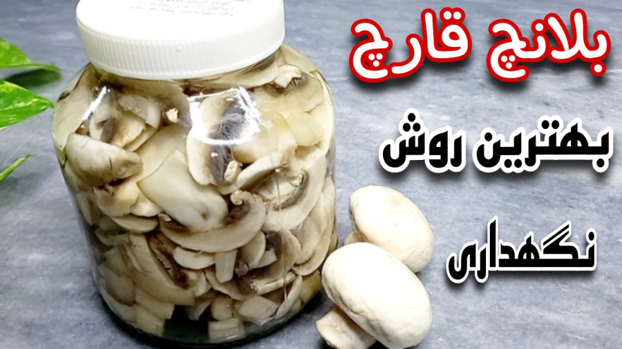 آموزش بلانچ کردن قارچ برای نگهداری طولانی در یخچال و فریزر/روش نگهداری قارچ