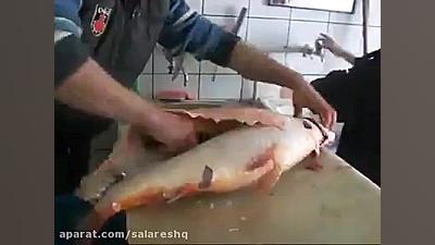 جدیدترین روش کندن پوست ماهی واقعا جالب و آموزنده