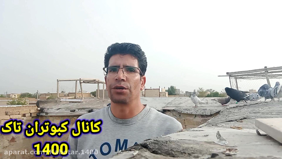 جلد کردن از صفر تا صد.وکفتر بازی