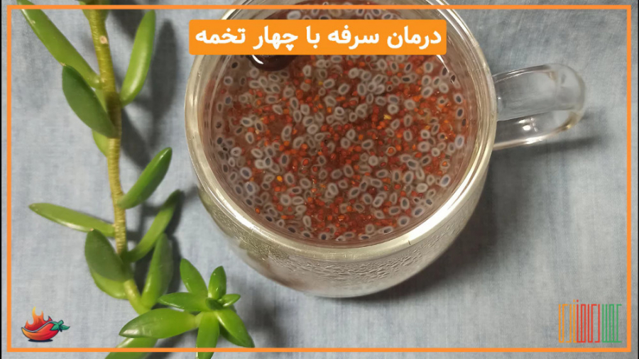درمان سرفه و سرماخوردگی و گرفتگی صدا با چهار تخمه