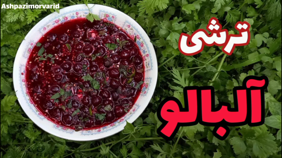 طرز تهیه ترشی آلبالو / ترشی / ترشی آلبالو