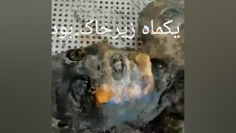 یک مرده  یک ماه زیر خاک به این شکل امده