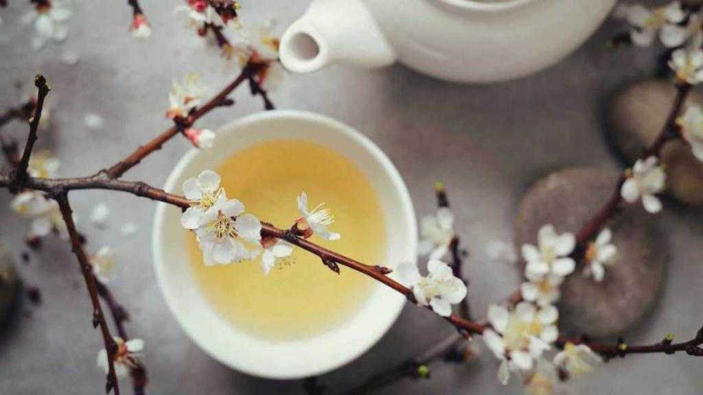 خریدهای ادایی تابستان ۱۴۰۴: روانشناسان هشدار میدهند/ این رفتار چه آسیبی به جیب و روان وارد میکند؟