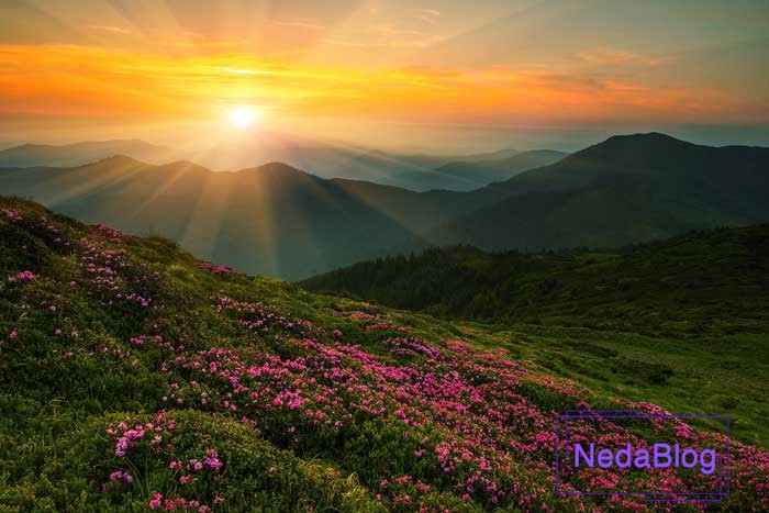 افزایش برکت و سحر خیزی