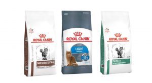 cat food
