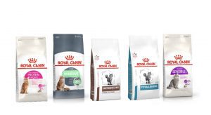 cat food