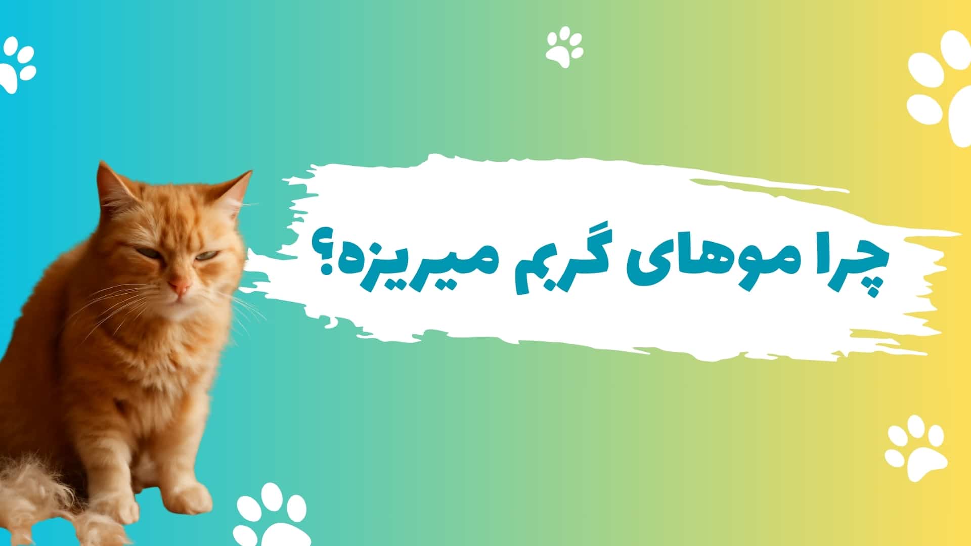 چرا موهای گربم میریزه؟