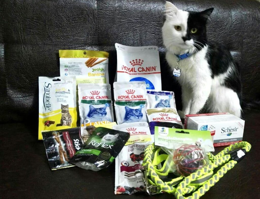 10 نوع غذای گربه رویال کنین