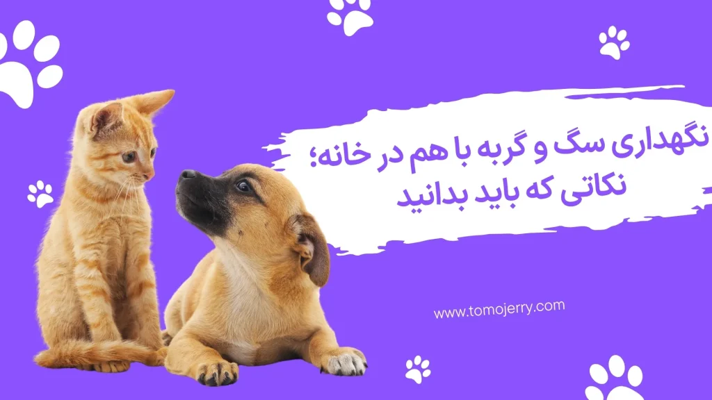 نگهداری سگ و گربه
