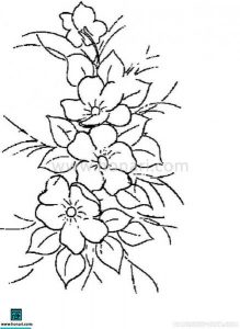طرح گل پنج پر