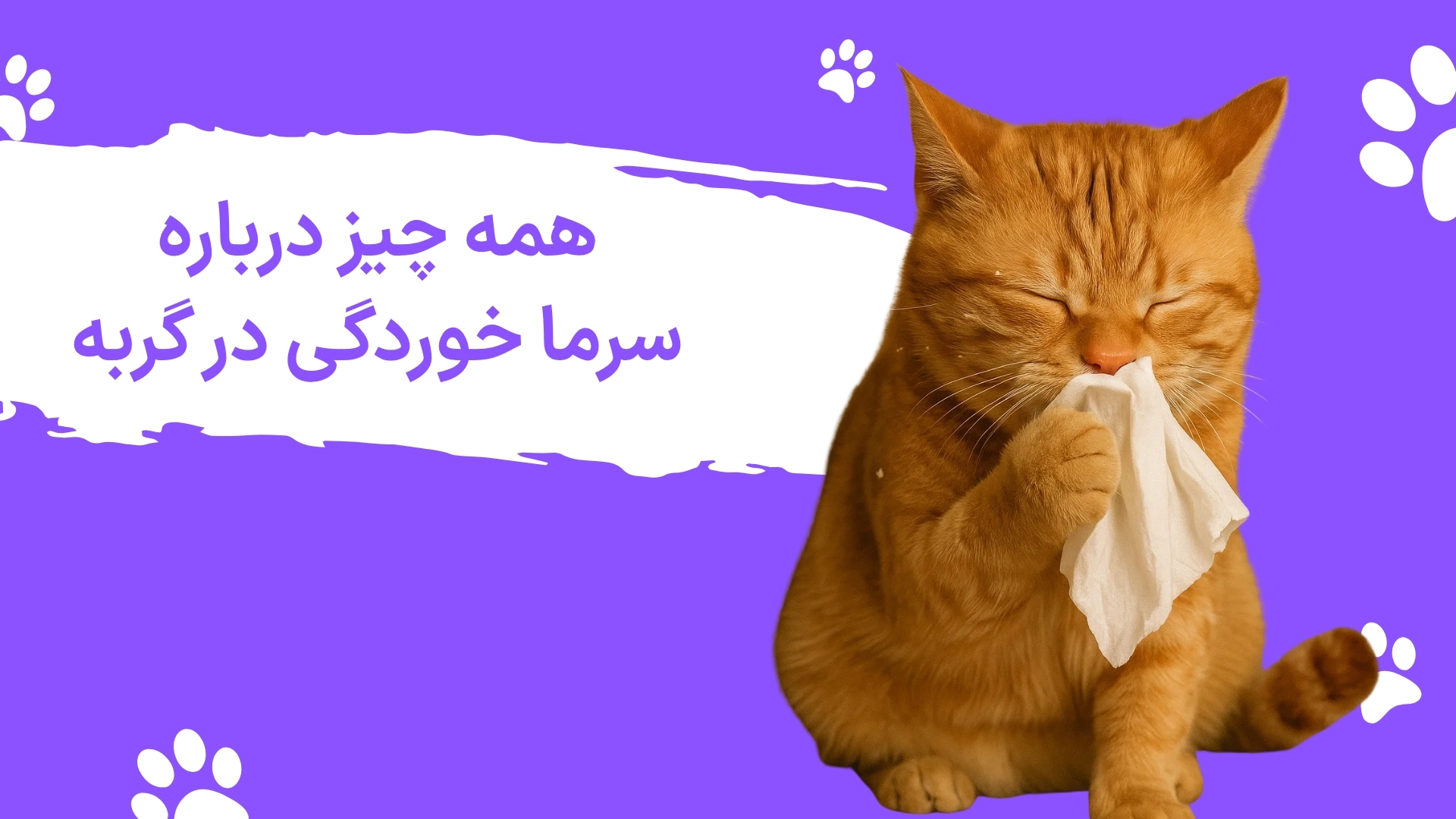 سرماخوردگی گربه