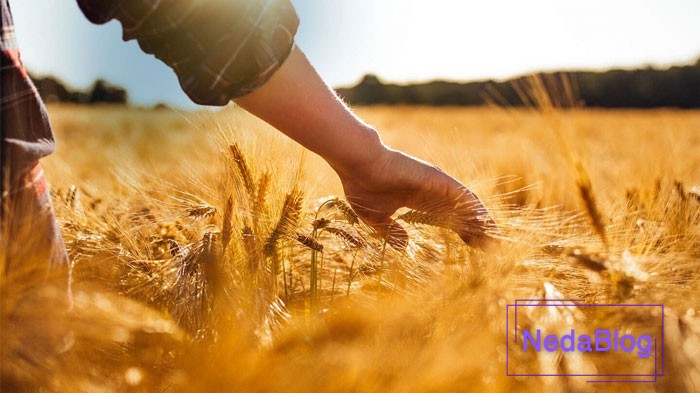 مثلث برکت در فنگ شویی