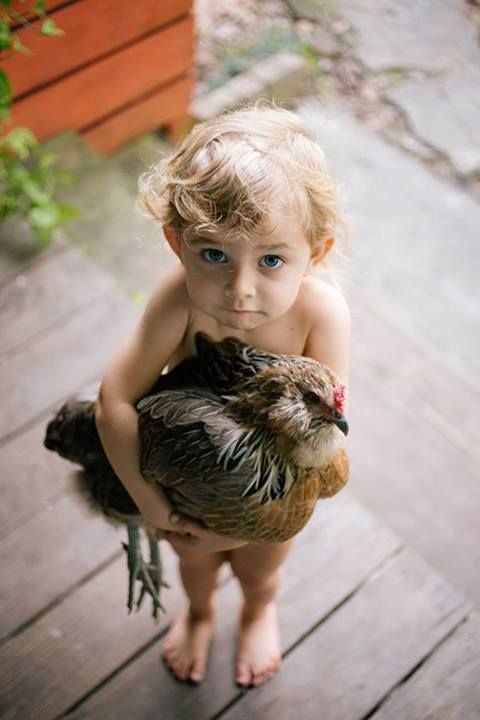 داشتن سگ و گربه