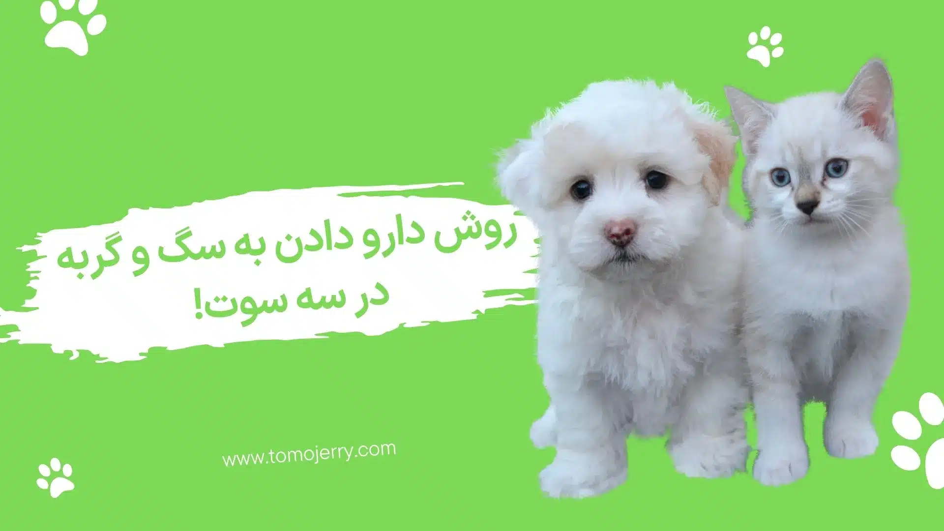 دارو دادن به سگ و گربه