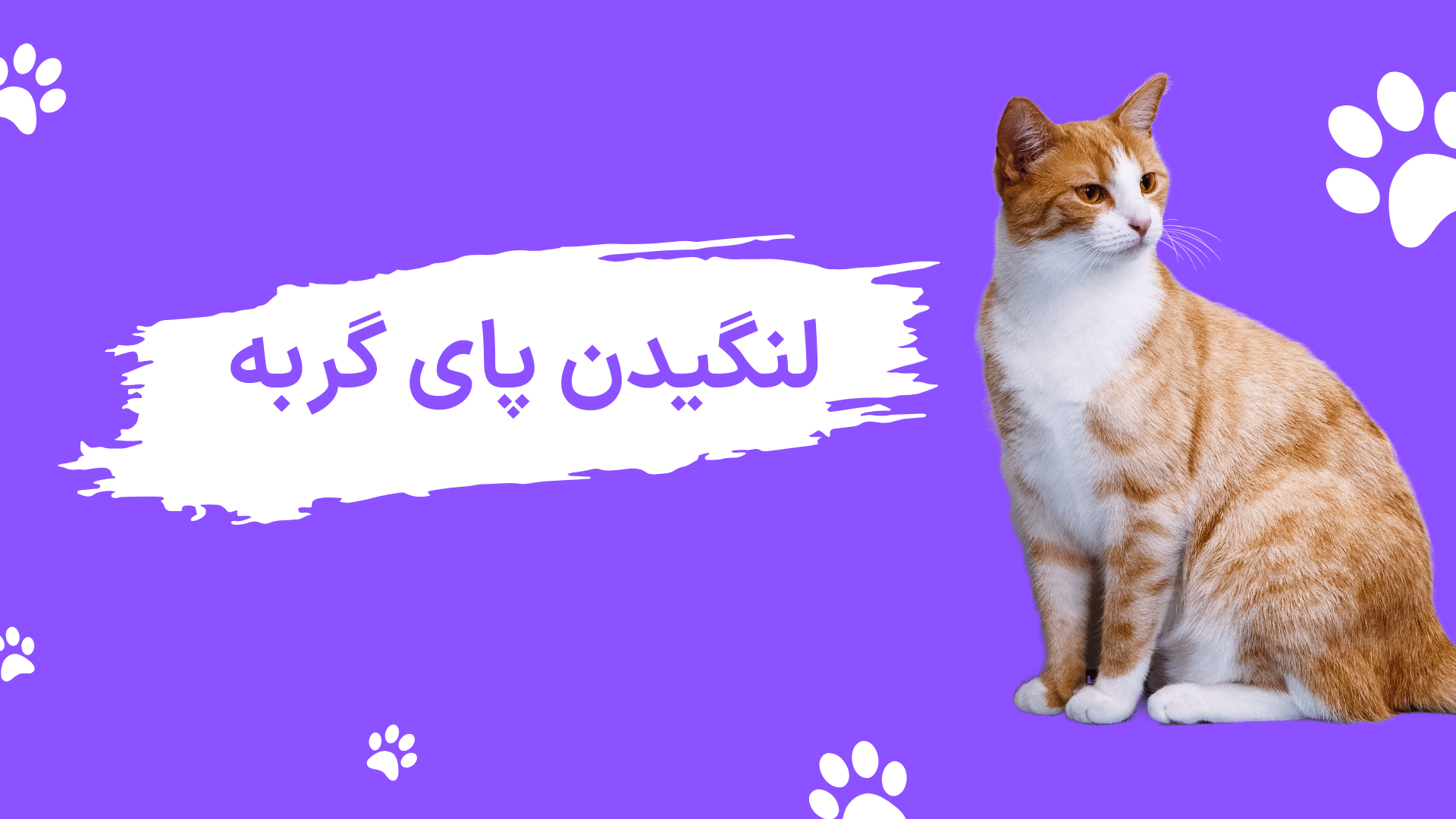 لنگیدن پای گربه