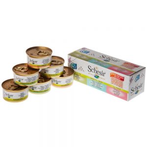 سوپ و کنسرو گربه شسیر