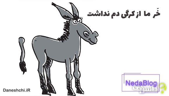 معنی خر ما از کرگی دم نداشت