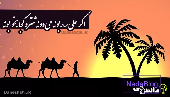 اگر علی ساربونه می دونه شترو کجا بخوابونه