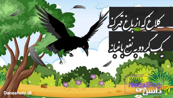 کلاغ که از باغ قهر کنه یک گردو به نفع باغبانه