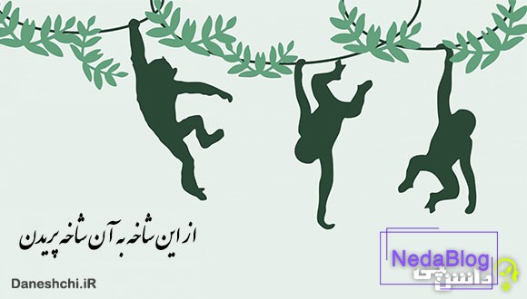 معنی از این شاخه به آن شاخه پریدن