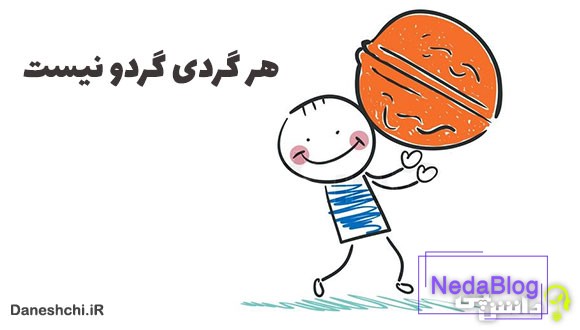 معنی هر گردی گردو نیست