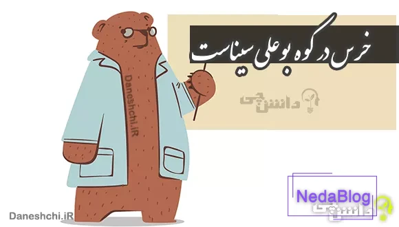 خرس در کوه بوعلی سیناست