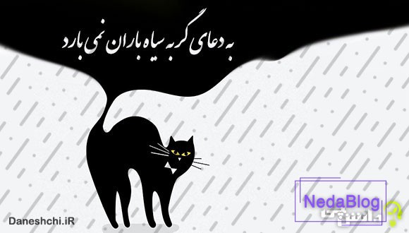 معنی ضرب المثل ” به دعای گربه سیاه باران نمی‌آید “
