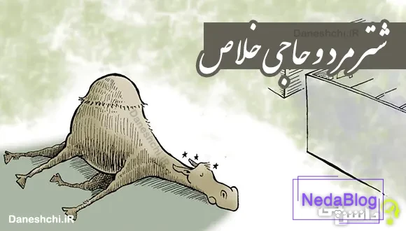 شتر مرد و حاجی خلاص