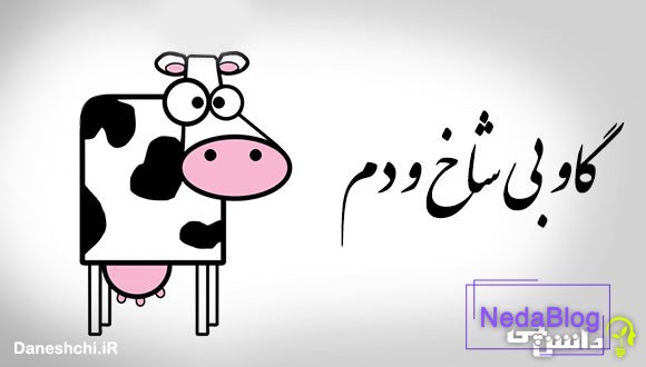 گاو بی شاخ و دم 