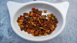 cat dry food