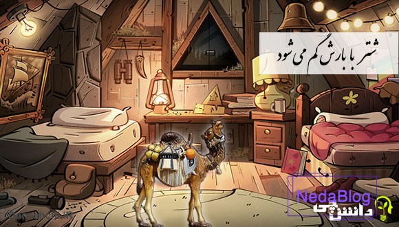 معنی شتر با بارش گم می شود