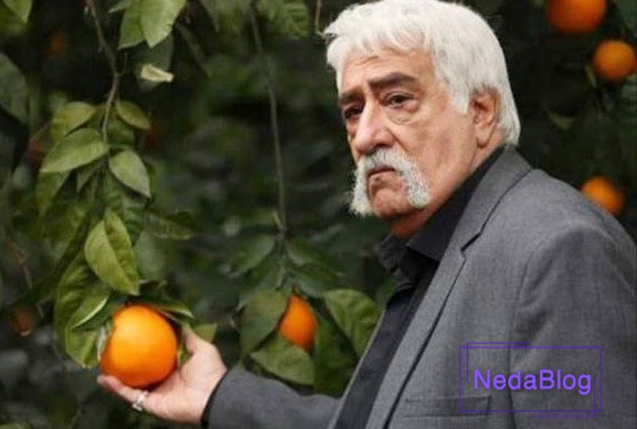 داریوش ارجمند
