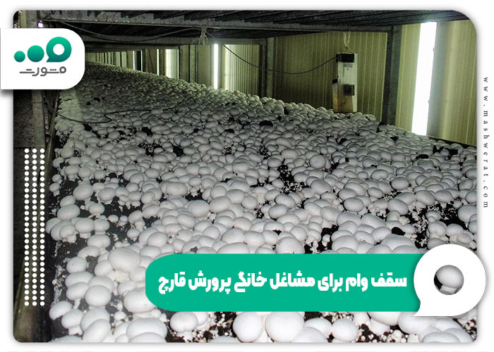 سقف وام برای مشاغل خانگی پرورش قارچ