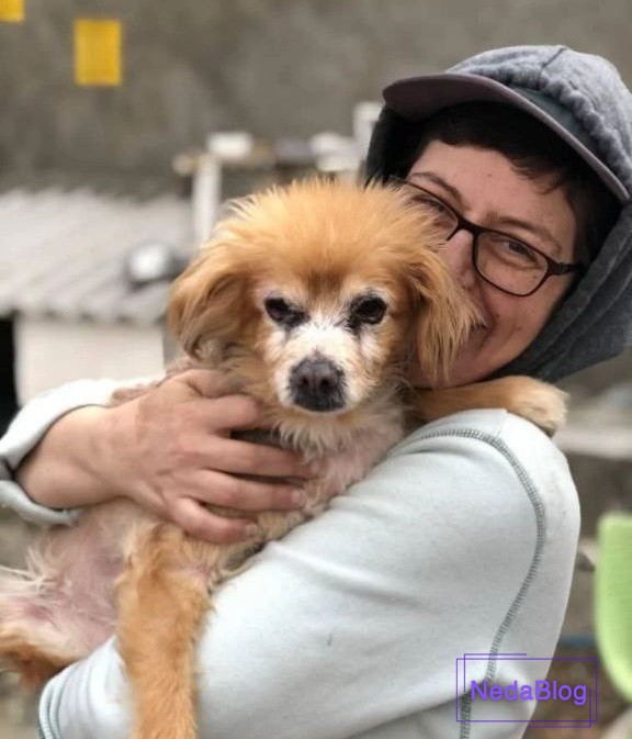 سوسن پرور و سگش