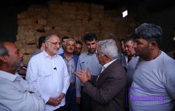 علیرضا زاکانی در میان مردم