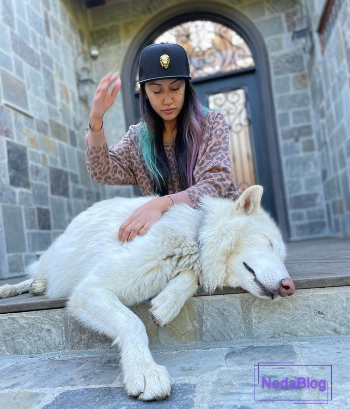 میا مسا همسر شادمهر عقیلی