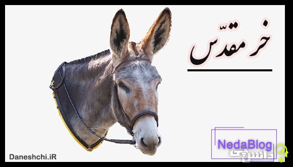 ضرب المثل خر مقدس بودن