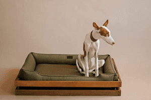 تخت خواب سگ