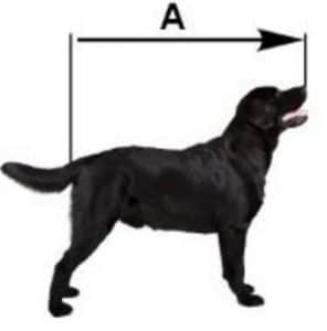 قفس یا باکس مناسب برای سگ
