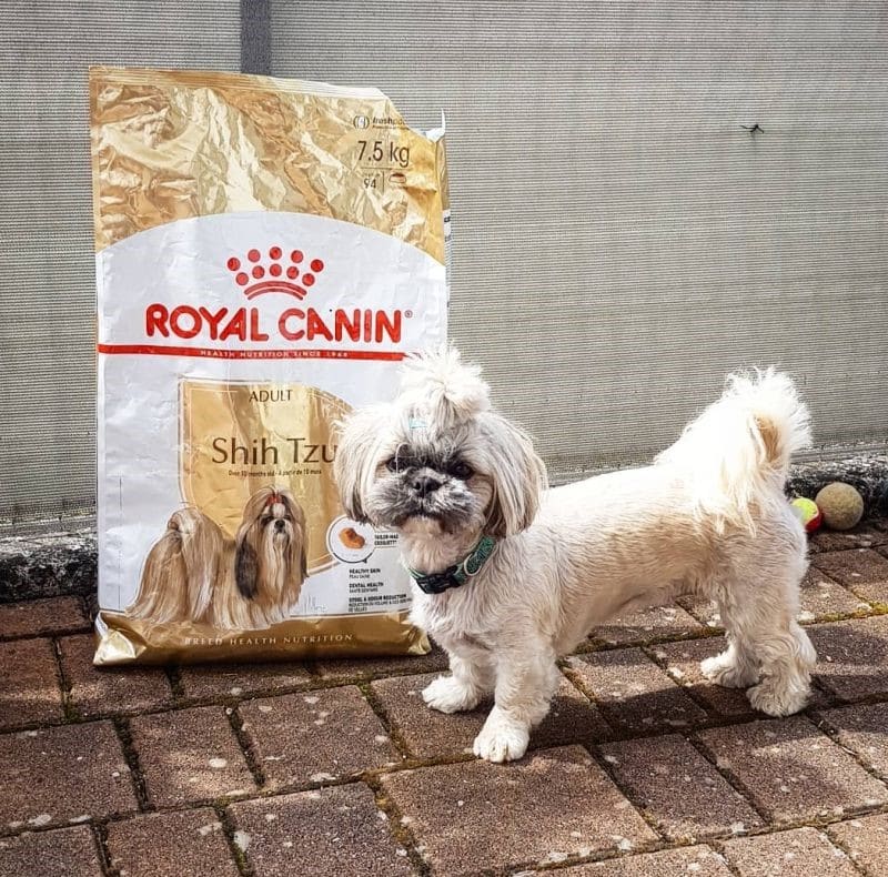 غذای سگ رویال کنین