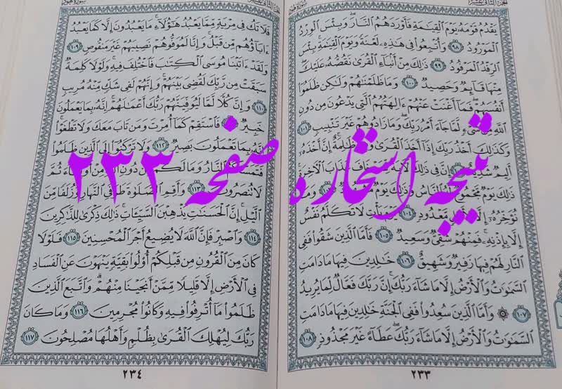 پاسخ استخاره ص 233 قران