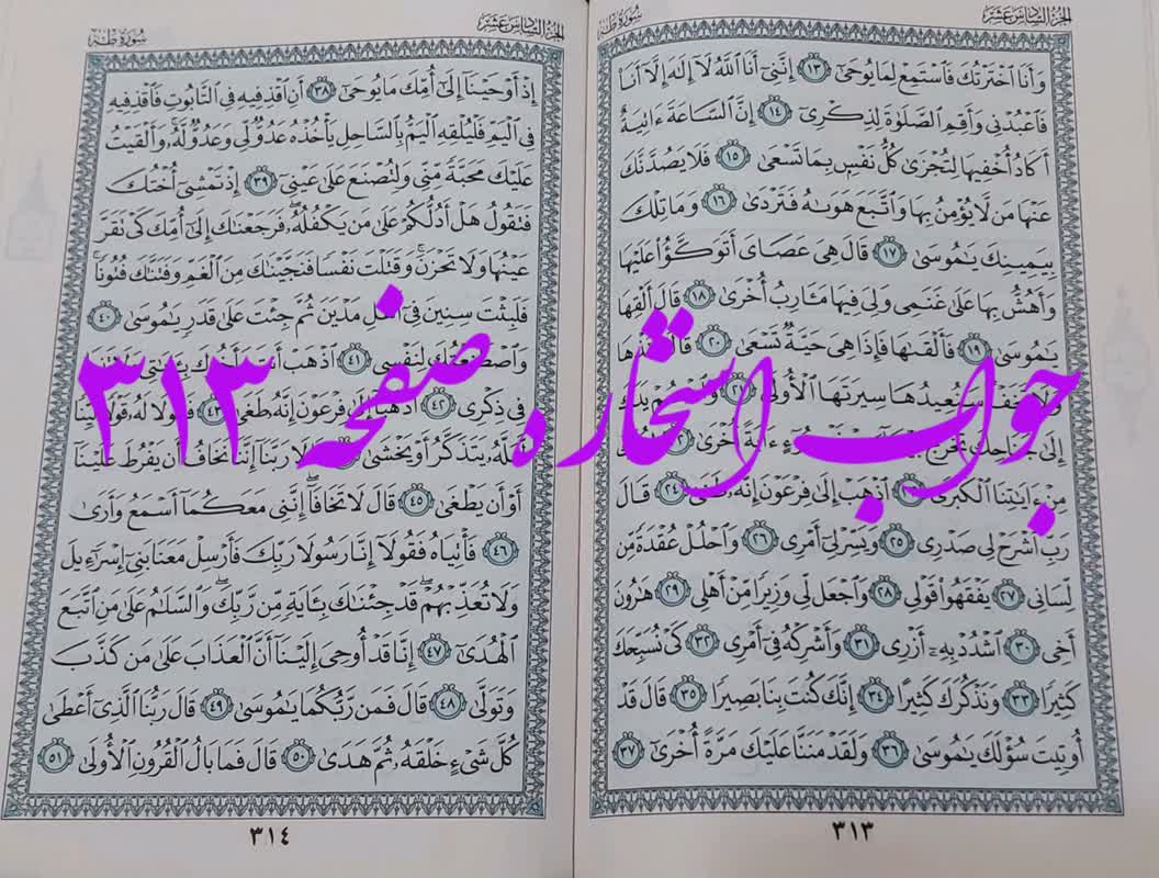 پاسخ استخاره ص 313 قران