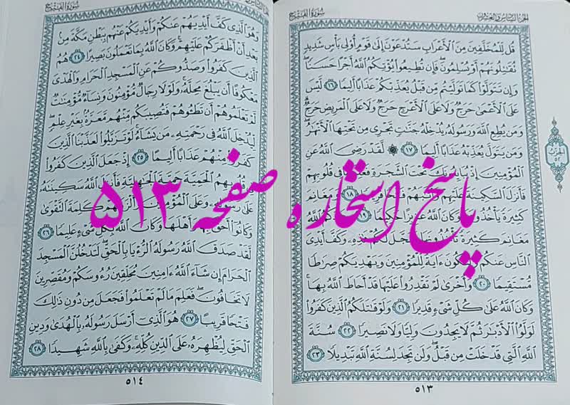 پاسخ استخاره ص 513 قران